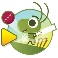PLay Doodle Cricket now!